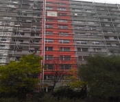 DSC04443