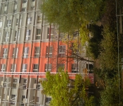 DSC04446