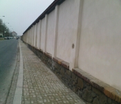 DSC00110