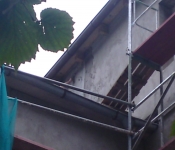 DSC07914